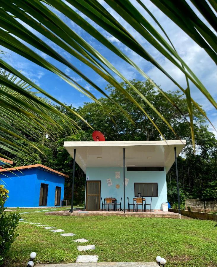 Posada Miradia Matapalo  Exteriér fotografie