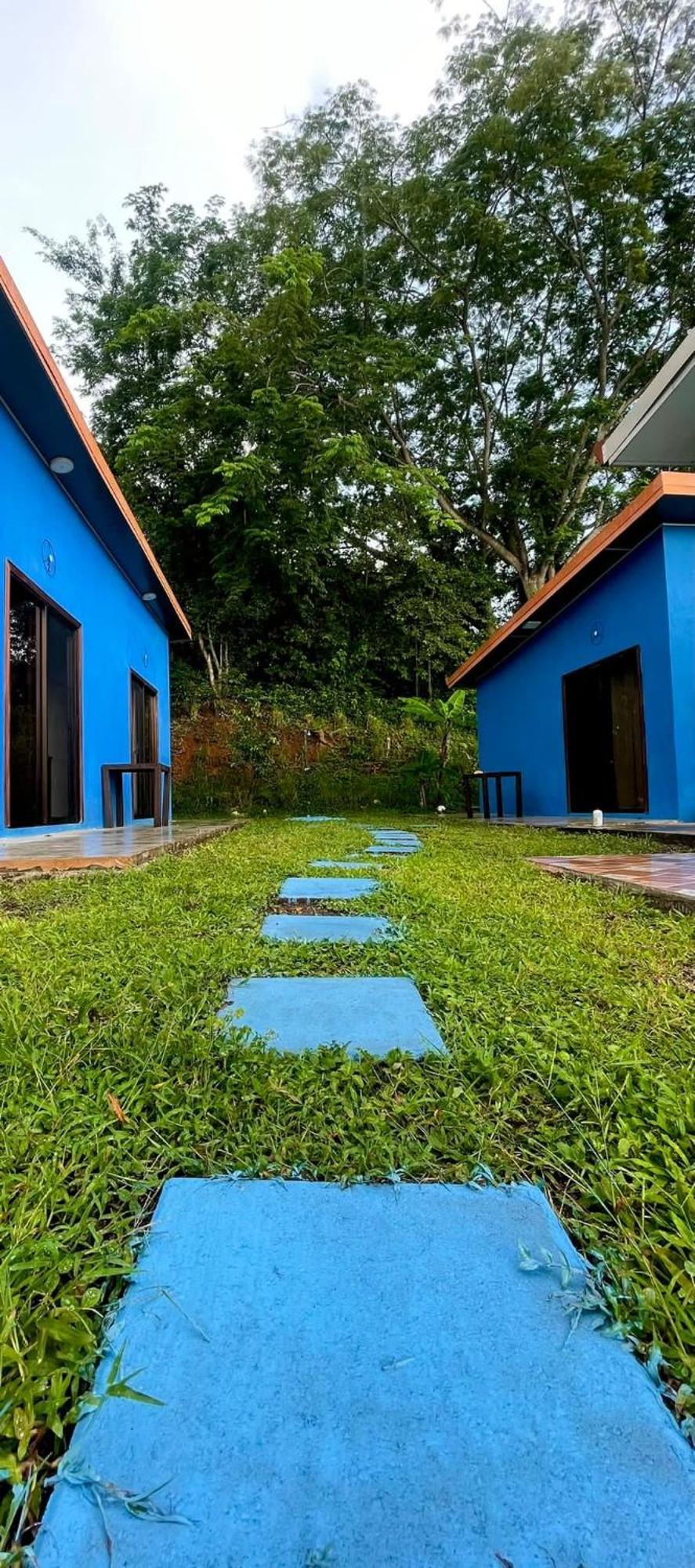 Posada Miradia Matapalo  Exteriér fotografie