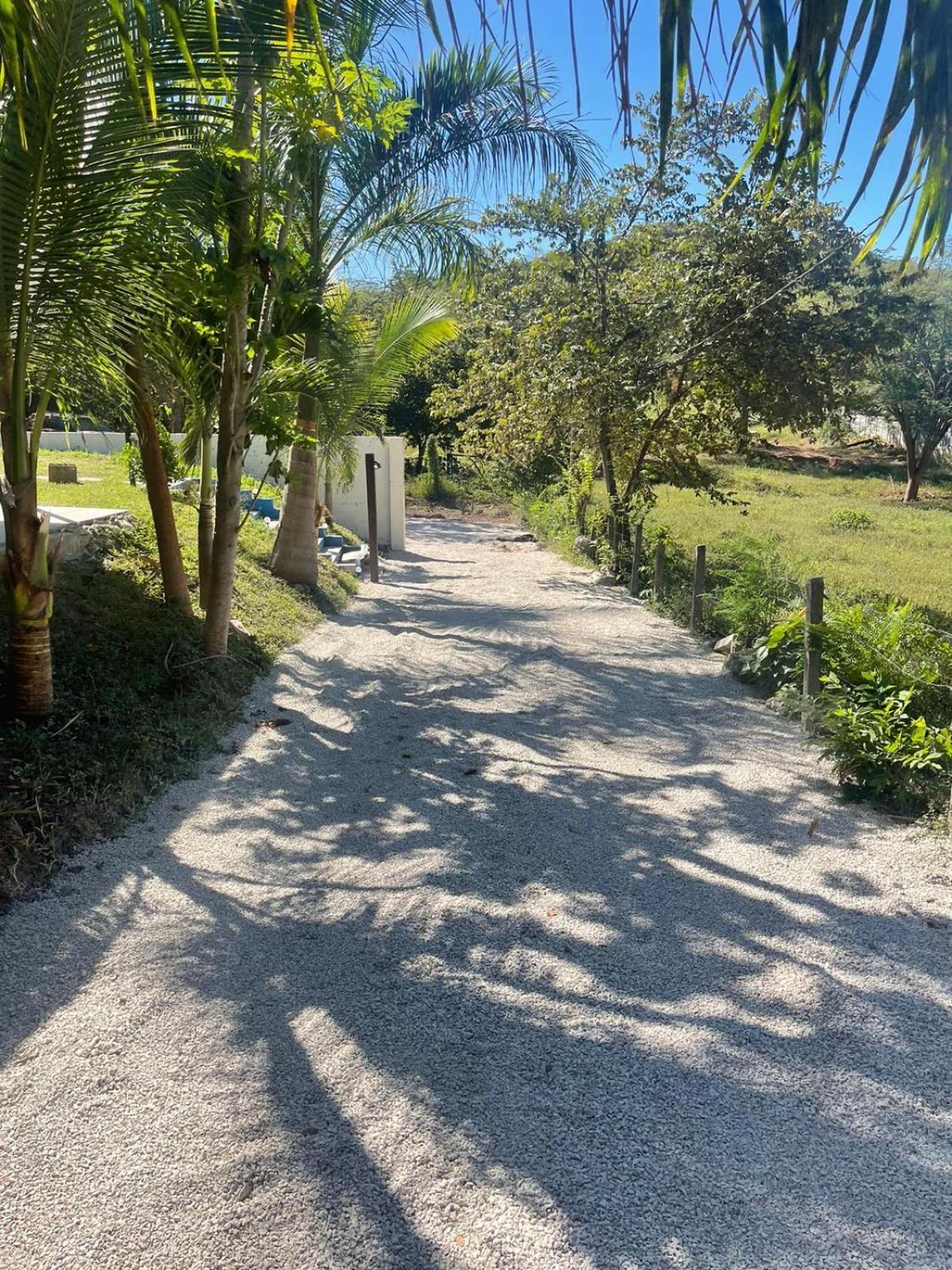 Posada Miradia Matapalo  Exteriér fotografie